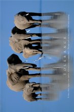 TOLERANCE J. & A. SCOTT