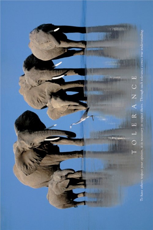 TOLERANCE J. & A. SCOTT