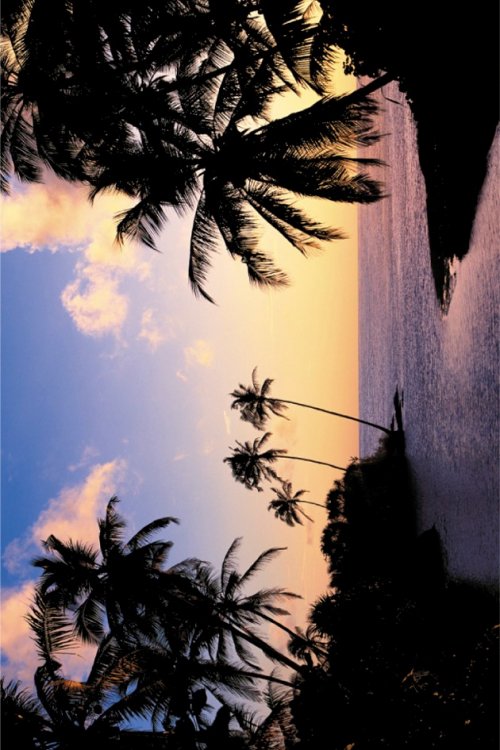 HIKKADUWA BEACH BILDAGENTUR HUBER