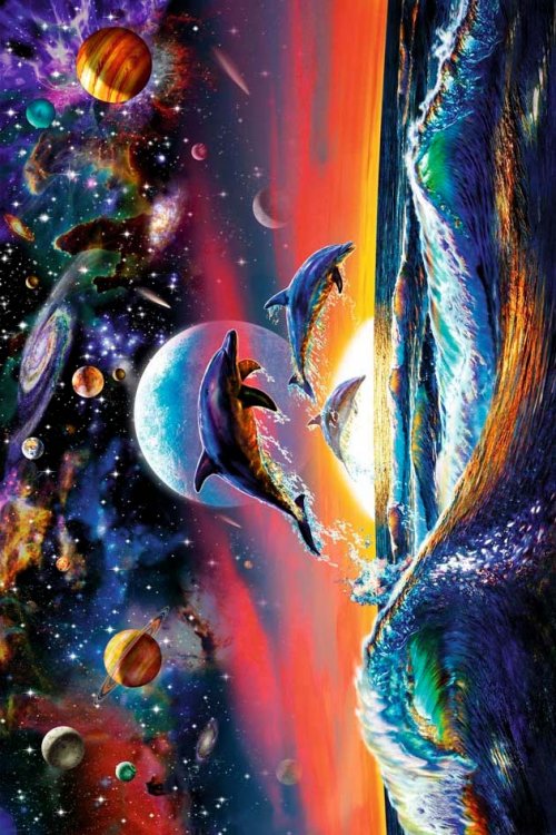 DOLPHIN UNIVERSE