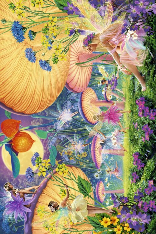 LA NUIT ENCHANTEE FAIRIES