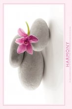 ΑΦΙΣΕΣ ΜΑΧΙ 61Χ91