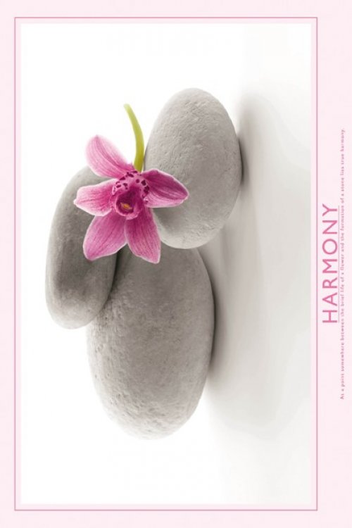 ΑΦΙΣΕΣ ΜΑΧΙ 61Χ91