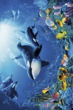 ΑΦΙΣΕΣ ΜΑΧΙ 61Χ91