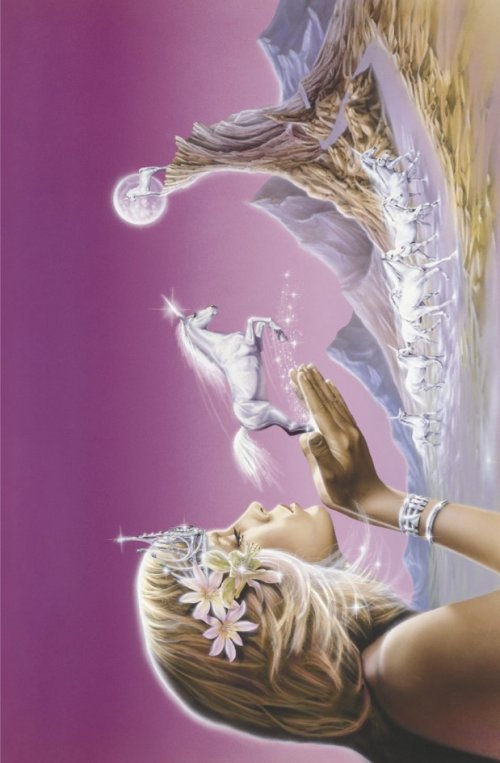 ΑΦΙΣΕΣ ΜΑΧΙ 61Χ91