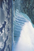 ΑΦΙΣΕΣ ΜΑΧΙ 61Χ91