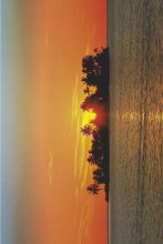 ΑΦΙΣΕΣ ΜΑΧΙ 61Χ91