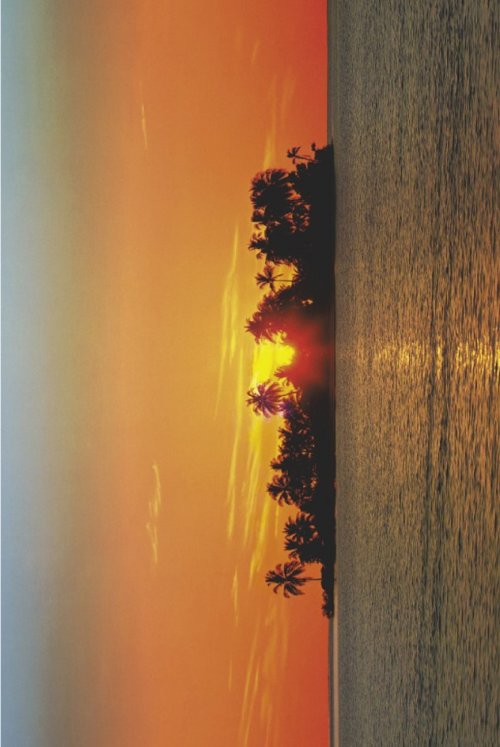 ΑΦΙΣΕΣ ΜΑΧΙ 61Χ91