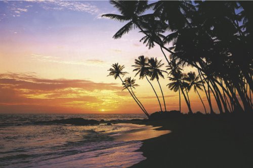 ΑΦΙΣΕΣ ΜΑΧΙ 61Χ91