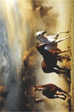 ΑΦΙΣΕΣ ΜΑΧΙ 61Χ91