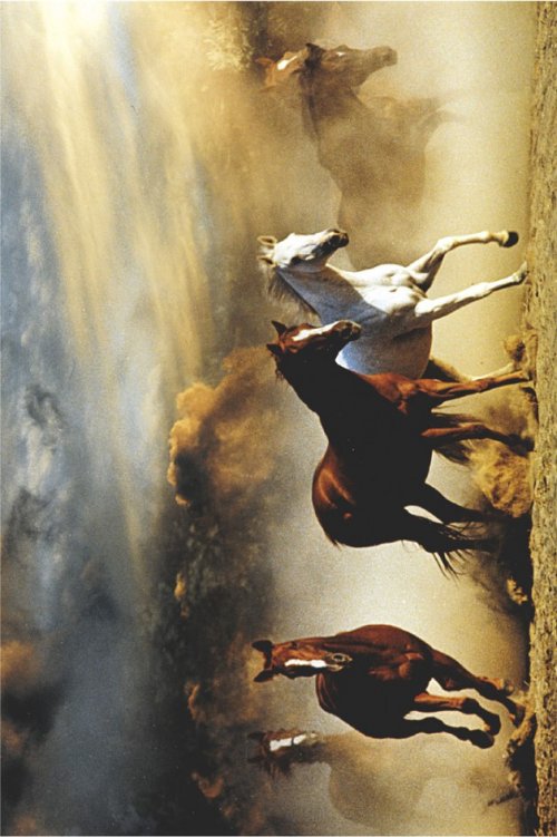 ΑΦΙΣΕΣ ΜΑΧΙ 61Χ91