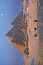 ΑΦΙΣΕΣ ΜΑΧΙ 61Χ91