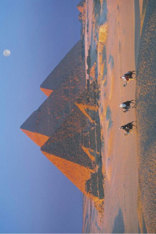 ΑΦΙΣΕΣ ΜΑΧΙ 61Χ91