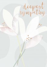 ΣΥΛΛΥΠΗΤΗΡΙΑ