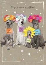 ΧΑΡΟΥΜΕΝΑ ΓΕΝΕΘΛΙΑ ΣΚΥΛΑΚΙΑ