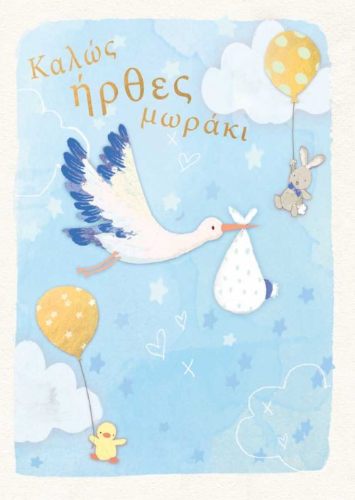 ΚΑΛΩΣ ΗΡΘΕΣ ΜΩΡΑΚΙ ΑΓΟΡΙ