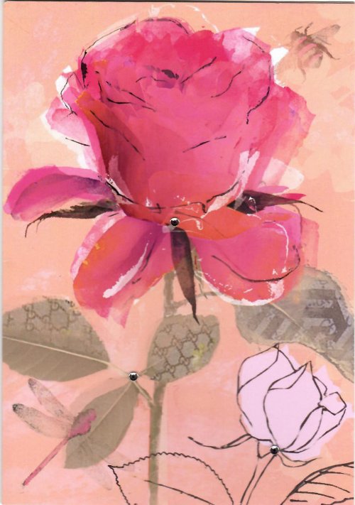 ΛΟΥΛΟΥΔΙΑ NO TEXT ΚΑΡΤΑ