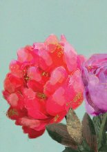 ΛΟΥΛΟΥΔΙΑ ΧΩΡΙΣ ΚΕΙΜΕΝΟ