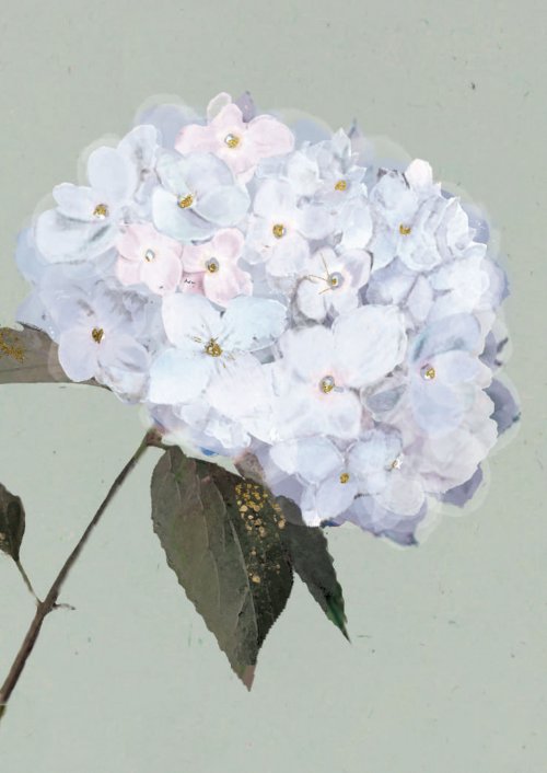 ΧΩΡΙΣ ΚΕΙΜΕΝΟ ΟΡΤΑΝΣΙΑ