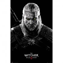 THE WITCHER TOCICITY POISONING