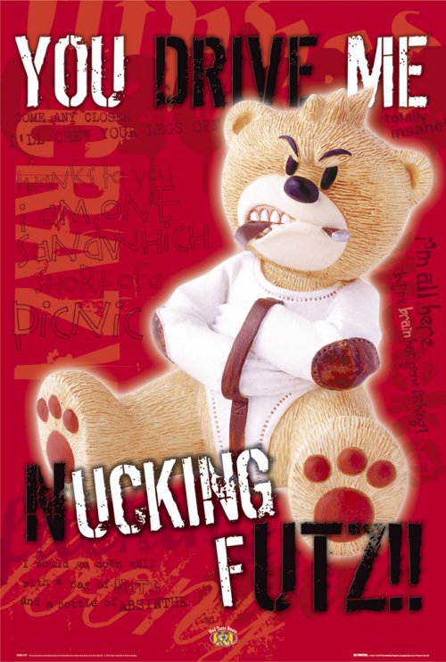 CRAZY TEDDY BEAR