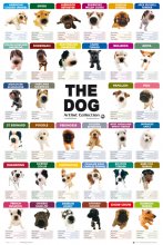 THE DOG COLLECTION
