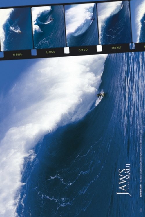 SURF JAWS OF MAUI