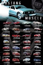 MUSTANG MUSCLE CARS
