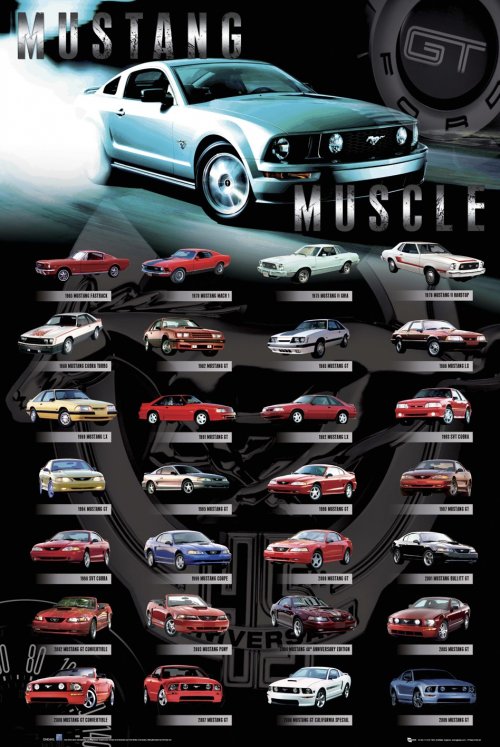MUSTANG MUSCLE CARS