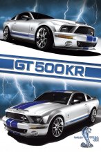 SHELBY GT 500 KR