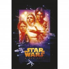 STAR WARS A NEW HOPE SPECIAL EDITION 