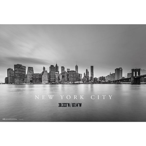 NEW YORK CITY SKYLINE 