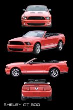 SHELBY GT 500