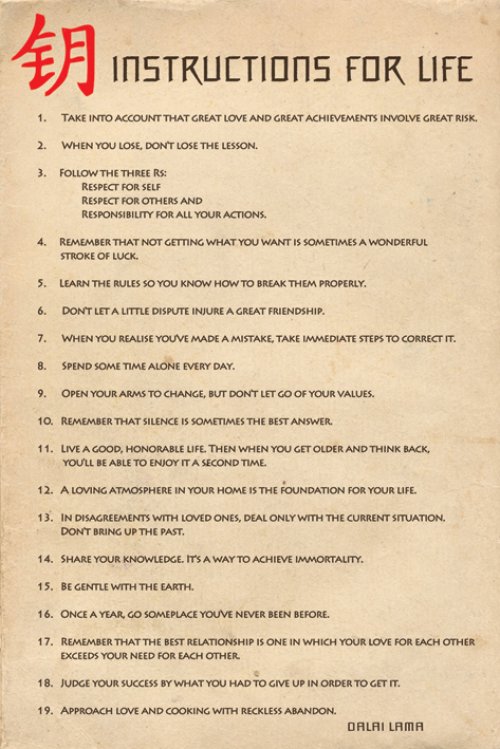 DALAI LAMA INSTRUCTIONS FOR LIFE