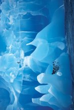 PENGUINS IN ANTARCTIC