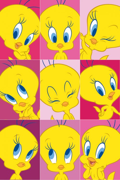 TWEETY CARTOON