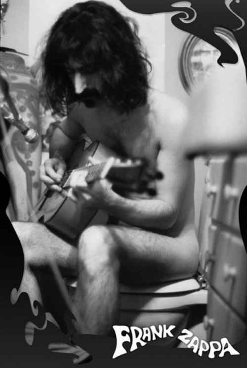 FRANK ZAPPA GUITAR