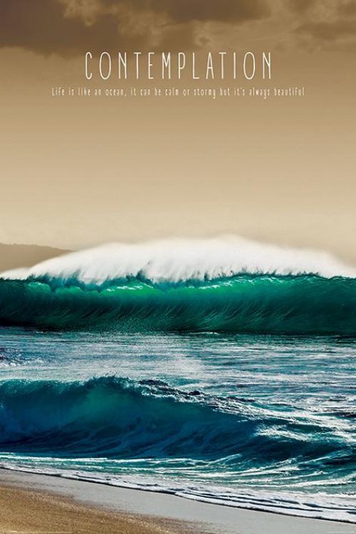 CONTEMPLATION ΑΦΙΣΑ