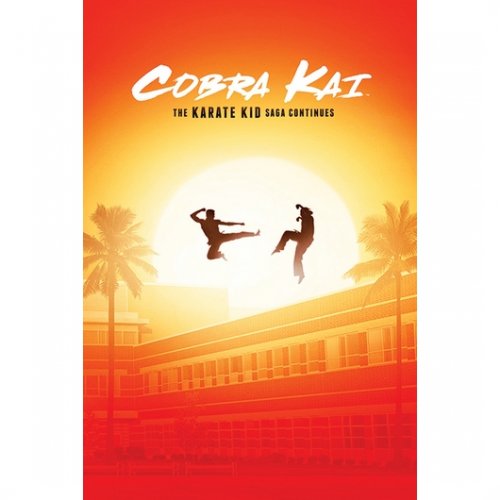 COBRA KAI (THE KARATE KID SAGA CONTINUES)